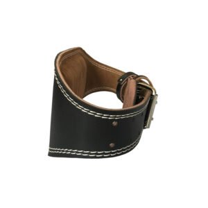 GYM Belts